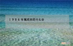 1986年属虎的是什么命，敢爱敢恨又多愁善感