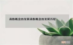函数概念的发展 函数概念的发展历程