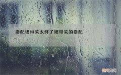 搭配裙带菜太鲜了 裙带菜的搭配
