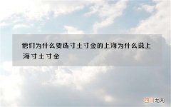 他们为什么要选寸土寸金的上海 为什么说上海寸土寸金