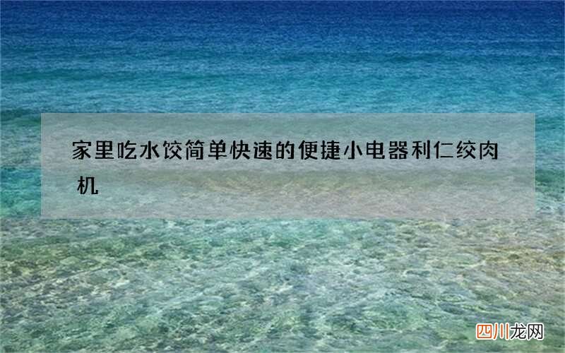 家里吃水饺简单快速的便捷小电器利仁绞肉机
