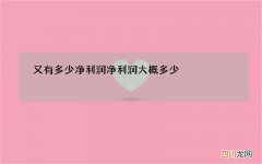 又有多少净利润 净利润大概多少