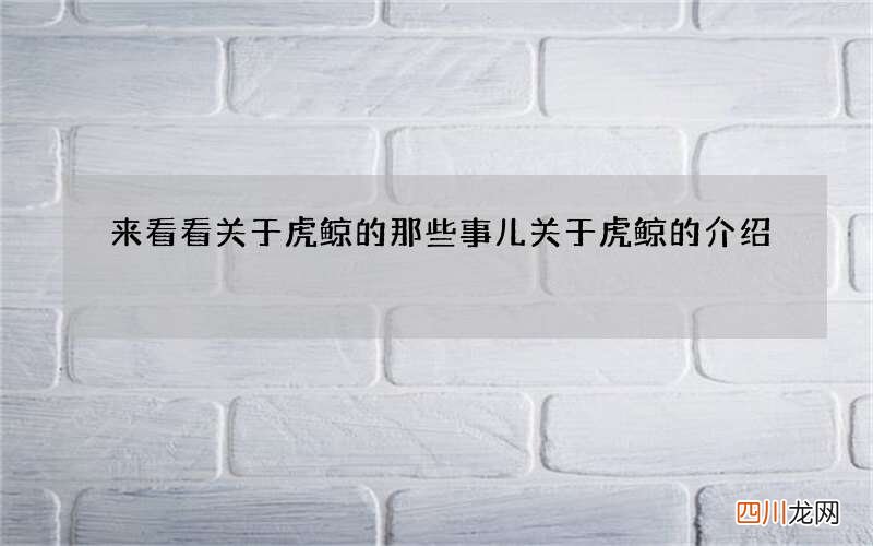 来看看关于虎鲸的那些事儿 关于虎鲸的介绍