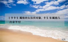 1995属猪的女孩找对象，95年属猪几月命不好