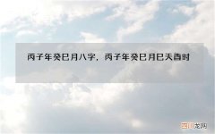 丙子年癸巳月八字，丙子年癸巳月巳天酉时
