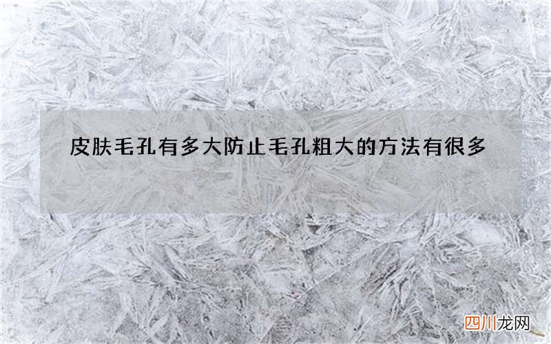 皮肤毛孔有多大 防止毛孔粗大的方法有很多
