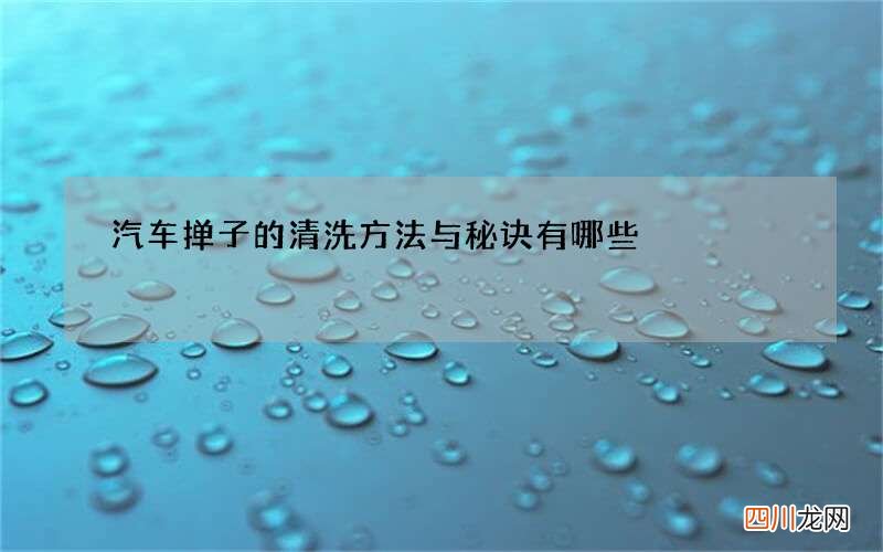 汽车掸子的清洗方法与秘诀有哪些