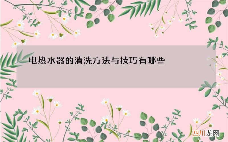 电热水器的清洗方法与技巧有哪些