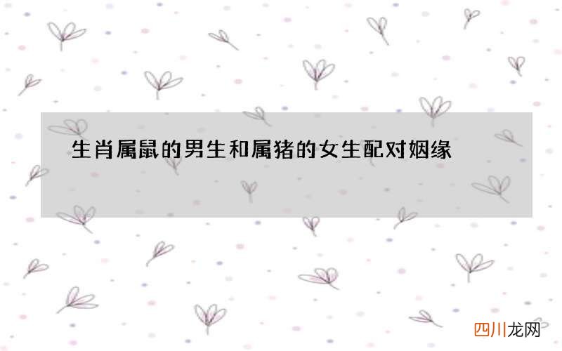 生肖属鼠的男生和属猪的女生配对姻缘