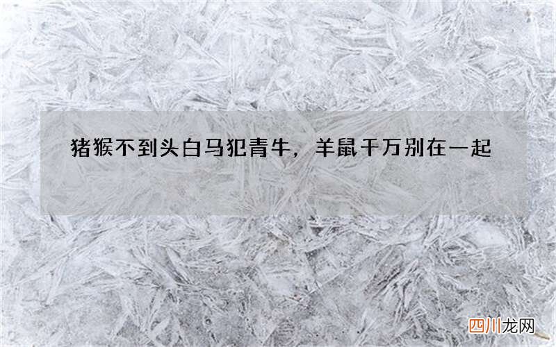 猪猴不到头白马犯青牛，羊鼠千万别在一起