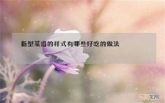 新型菜谱的样式有哪些好吃的做法