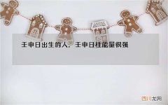 壬申日出生的人，壬申日柱能量很强