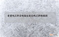 老婆有乙肝会传染给老公吗 乙肝的病因