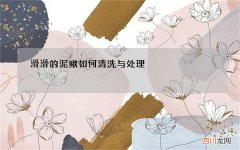滑滑的泥鳅如何清洗与处理