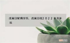 戊寅日配偶学历，戊寅日柱2022 辛丑年运