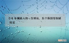 08年属鼠人的一生财运，五个原因导致缺钱花