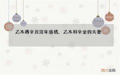乙木遇辛丑流年感情，乙木和辛金的夫妻