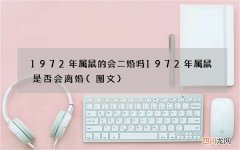 图文 1972年属鼠的会二婚吗 1972年属鼠是否会离婚