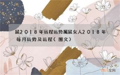 图文 鼠2018年运程运势 属鼠女人2018年每月运势及运程