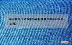 黄疸性肝炎会传染吗 黄疸性肝炎的症状是什么呢