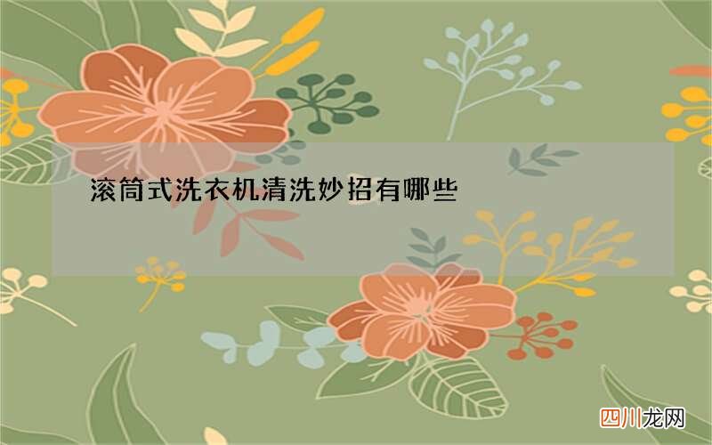 滚筒式洗衣机清洗妙招有哪些