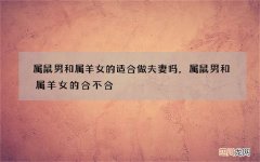 属鼠男和属羊女的适合做夫妻吗，属鼠男和属羊女的合不合
