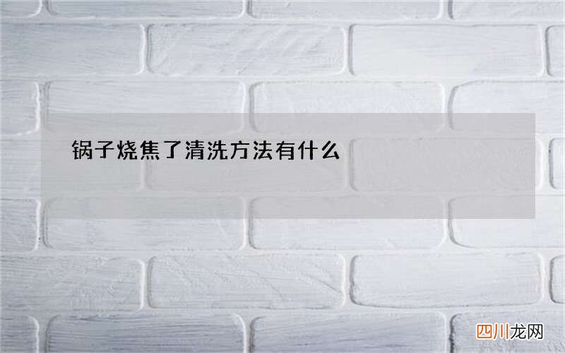 锅子烧焦了清洗方法有什么