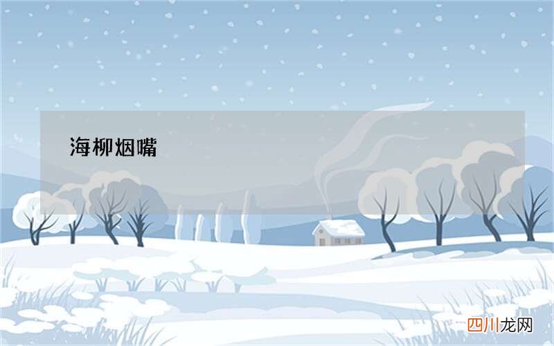 海柳烟嘴