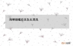 海柳烟嘴应该怎么清洗