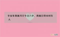 辛亥年庚寅月壬午日八字，庚寅日癸未时生人