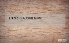 1995山头火和什么命配，1995属猪的姻缘方位