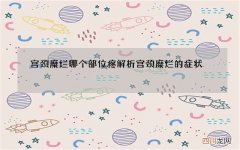 宫颈糜烂哪个部位疼 解析宫颈糜烂的症状