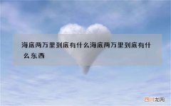 海底两万里到底有什么 海底两万里到底有什么东西