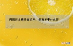 丙辰日主遇壬寅流年，壬寅年干什么好