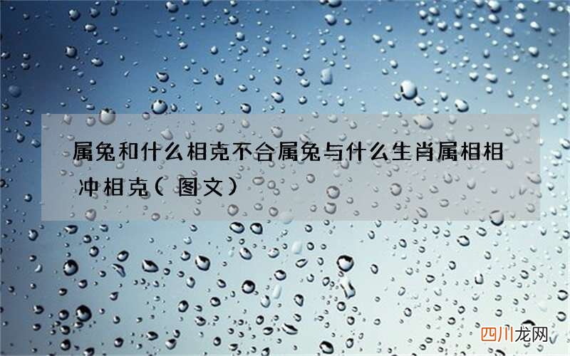 图文 属兔和什么相克不合 属兔与什么生肖属相相冲相克