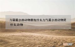 力量最小的动物都有什么 力气最小的动物是什么动物