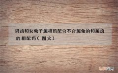 图文 男鸡和女兔子属相婚配合不合 属兔的和属鸡的相配吗