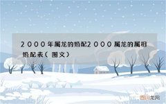 图文 2000年属龙的婚配 2000属龙的属相婚配表