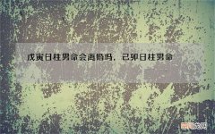 戊寅日柱男命会离婚吗，己卯日柱男命
