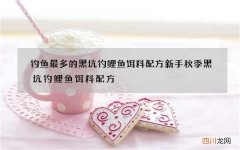 钓鱼最多的黑坑钓鲤鱼饵料配方 新手秋季黑坑钓鲤鱼饵料配方