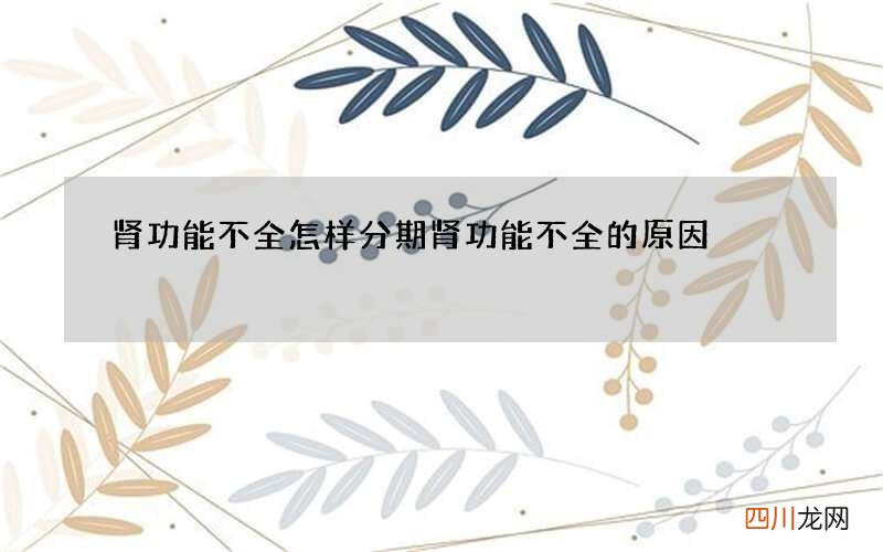 肾功能不全怎样分期 肾功能不全的原因
