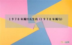 1978年属马 1978年属什么生肖