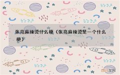 张亮麻辣烫是一个什么梗 张亮麻辣烫什么梗
