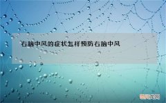 右脑中风的症状 怎样预防右脑中风