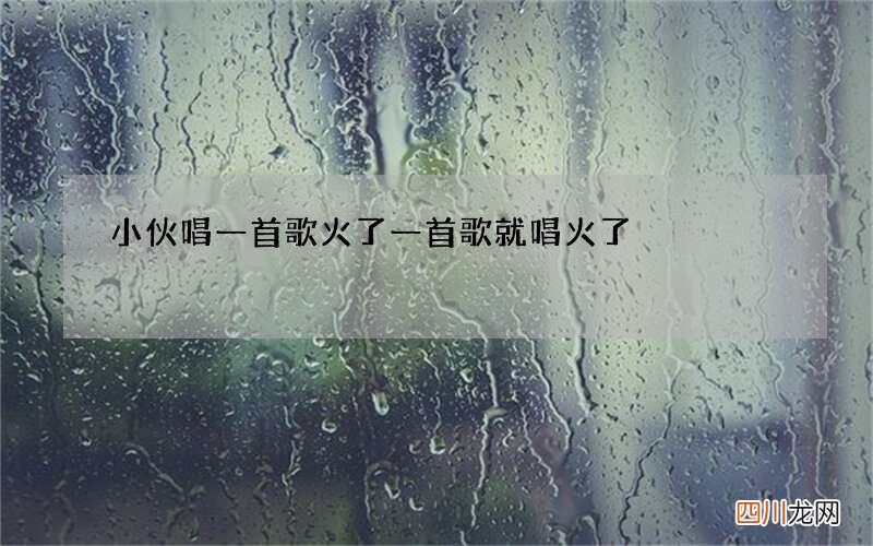 小伙唱一首歌火了 一首歌就唱火了