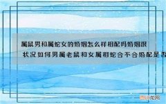 图文 属鼠男和属蛇女的婚姻怎么样相配吗婚姻跟状况如何 男属老鼠和女属相蛇