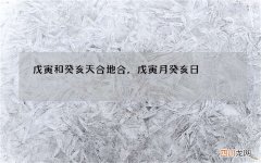 戊寅和癸亥天合地合，戊寅月癸亥日