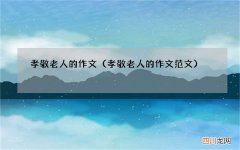 孝敬老人的作文范文 孝敬老人的作文