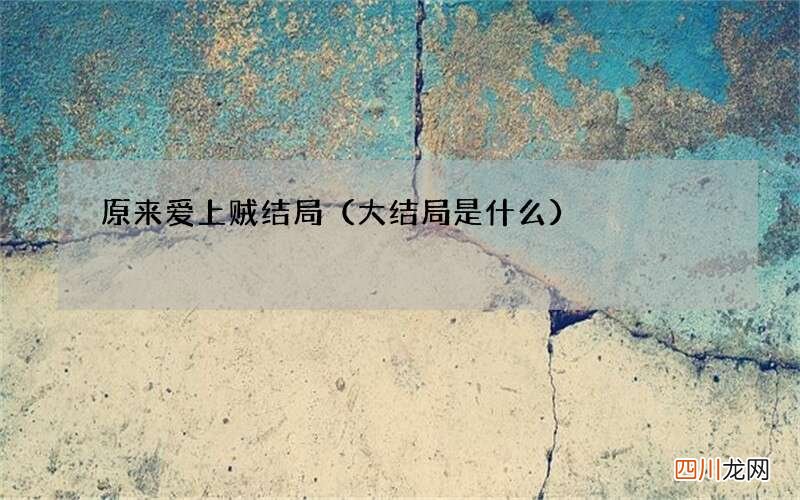 大结局是什么 原来爱上贼结局