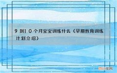 早期教育训练计划 介绍 9到10个月宝宝训练什么